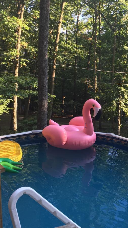 Pocono Cabin With Private Pool At Shawnee Mtn East Stroudsburg Exterior photo